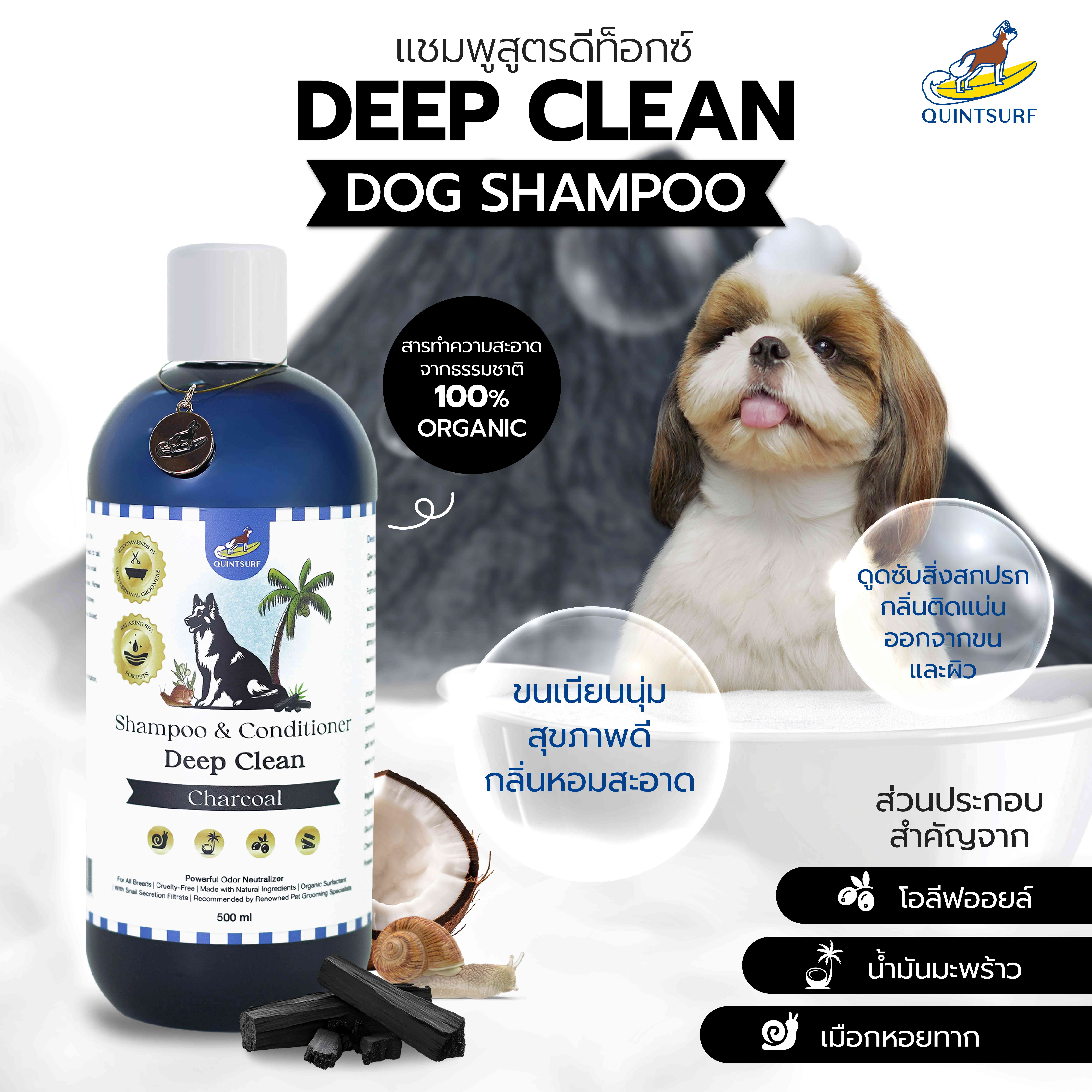 QUINTSURF Charcoal Shampoo