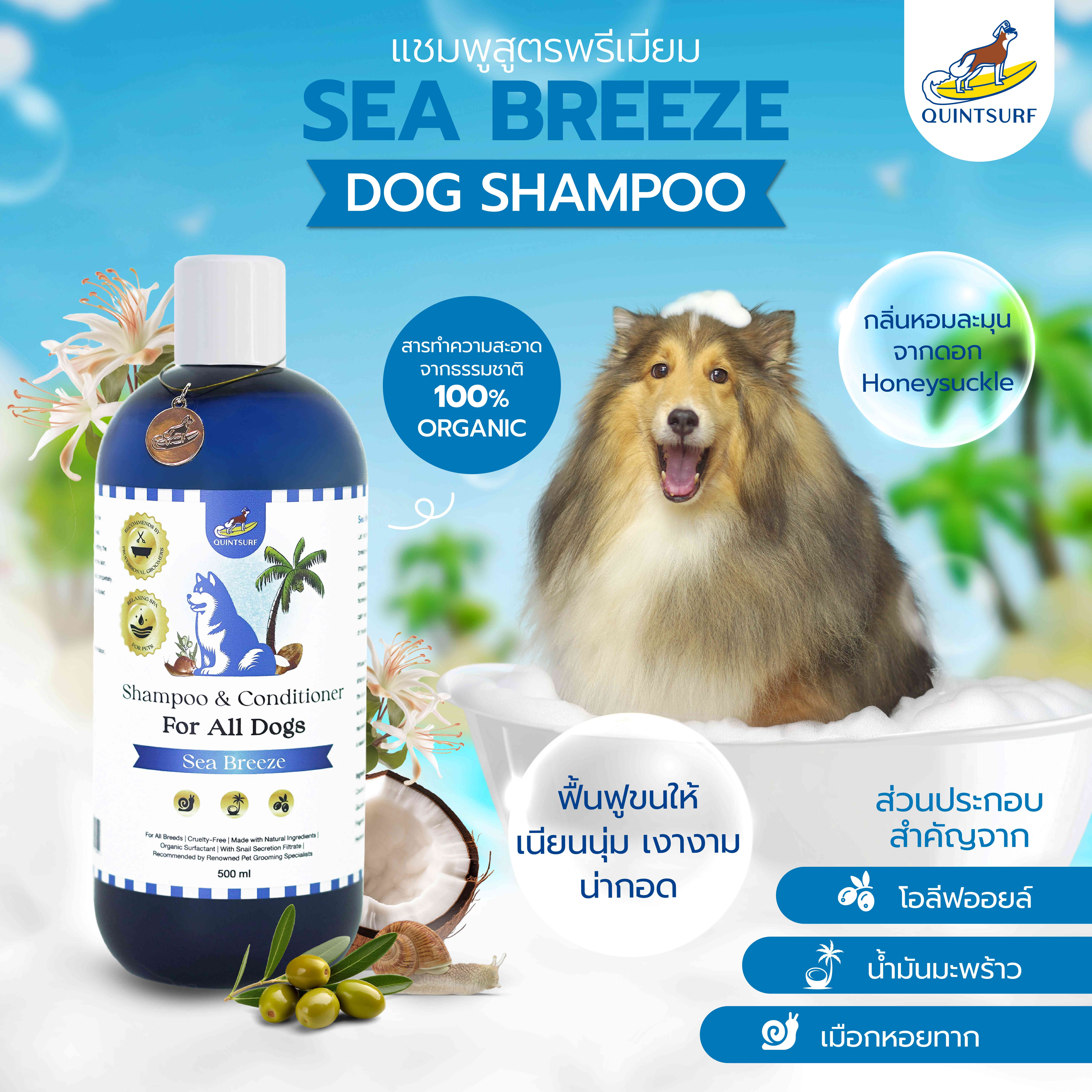 QUINTSURF Sea Breeze Shampoo